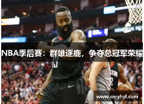 NBA季后赛：群雄逐鹿，争夺总冠军荣耀