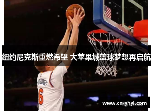 纽约尼克斯重燃希望 大苹果城篮球梦想再启航