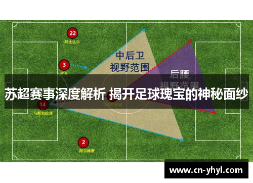 苏超赛事深度解析 揭开足球瑰宝的神秘面纱